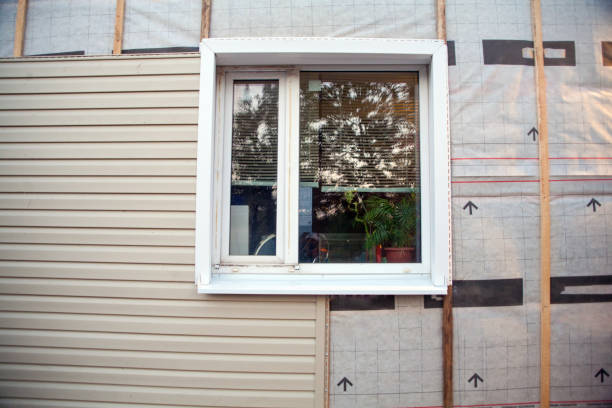 Best Stone Veneer Siding  in Darlington, WI