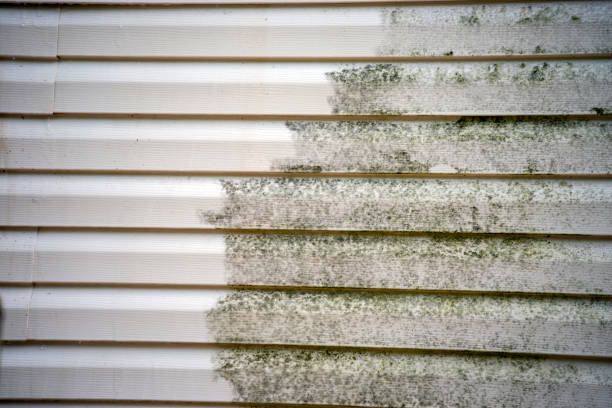 Best Insulated Siding Installation  in Darlington, WI
