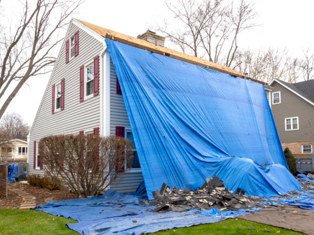 Best Custom Siding Design  in Darlington, WI